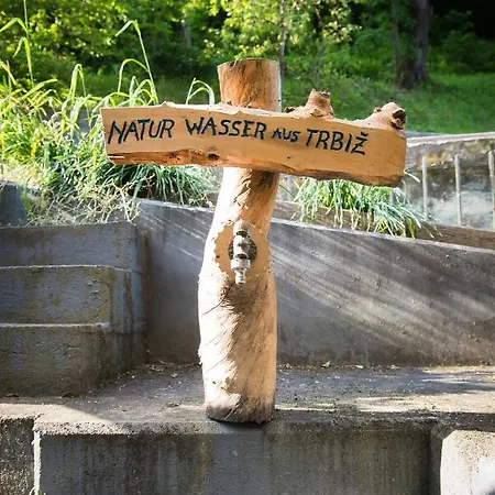 Estate Zagmestri Dom wakacyjny Ljubno